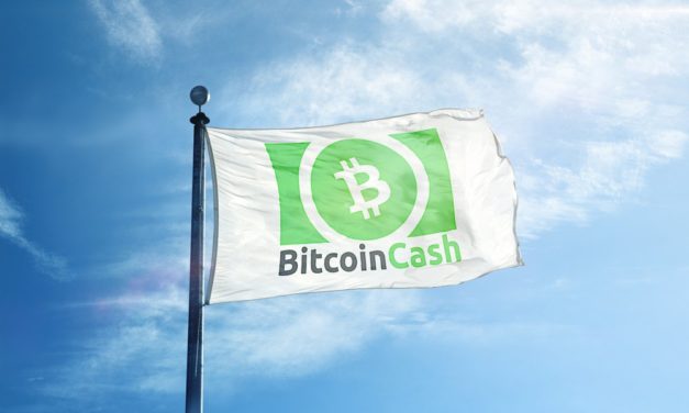 Bitcoin Cash: Kursrallye vor Hard Fork