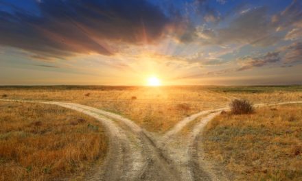 BitMEX: Forkmonitor für Bitcoin und Bitcoin Cash