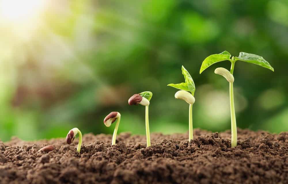 Bitfury wird zum europäischen Blockchain-Schwergewicht