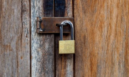 Ethereum-Browsererweiterung MetaMask mit neuem Privacy Mode