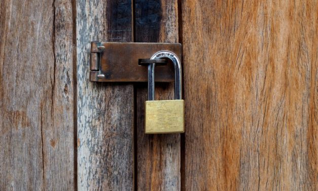 Ethereum-Browsererweiterung MetaMask mit neuem Privacy Mode