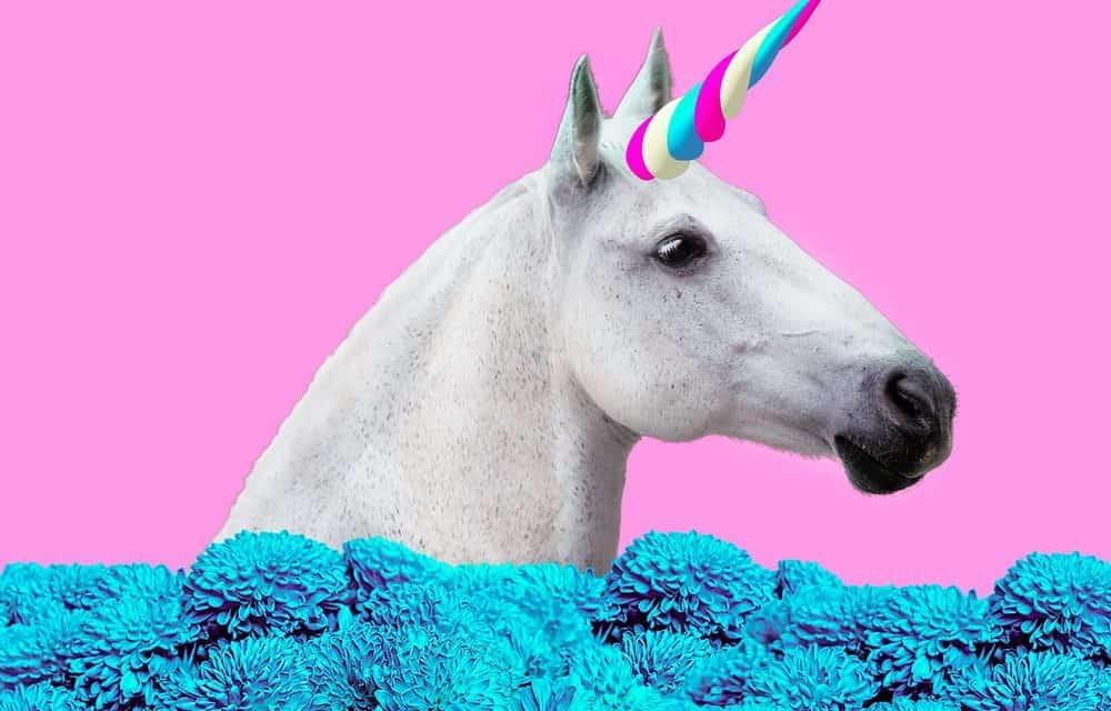 Zwischen USA und China: Warum Europa Krypto-Unicorns braucht