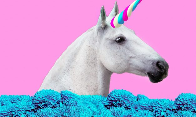Zwischen USA und China: Warum Europa Krypto-Unicorns braucht