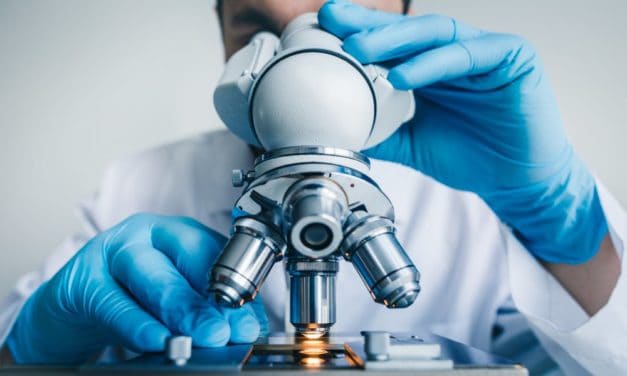 Binance Research nimmt Token unter die Lupe