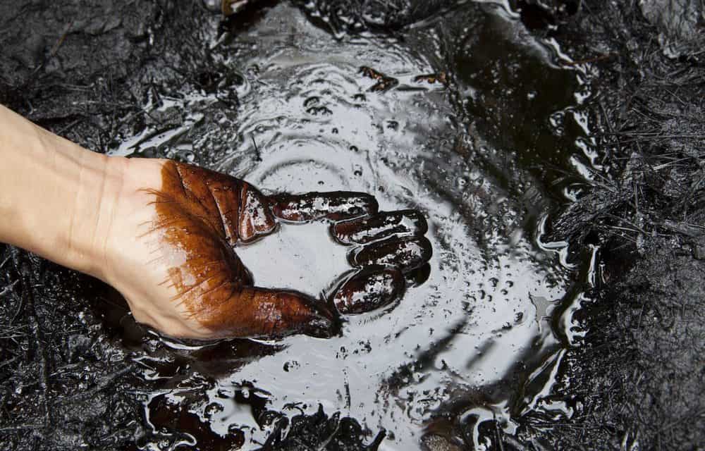 Venezuela will OPEC den Petro aufdrängen