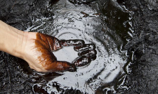 Venezuela will OPEC den Petro aufdrängen
