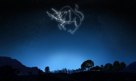 BTC-ECHO-Newsflash: Die Top Blockchain & Bitcoin-News der Woche