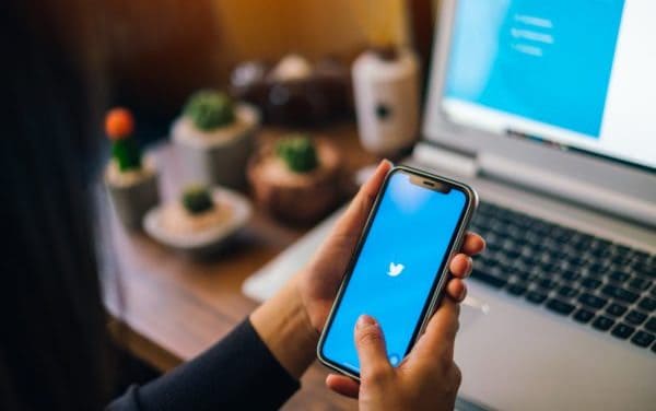Twitter löscht massenhaft Scam-Accounts