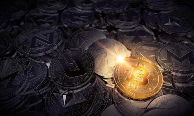 BTC-ECHO-Newsflash: Die Top Blockchain- & Bitcoin-News der Woche