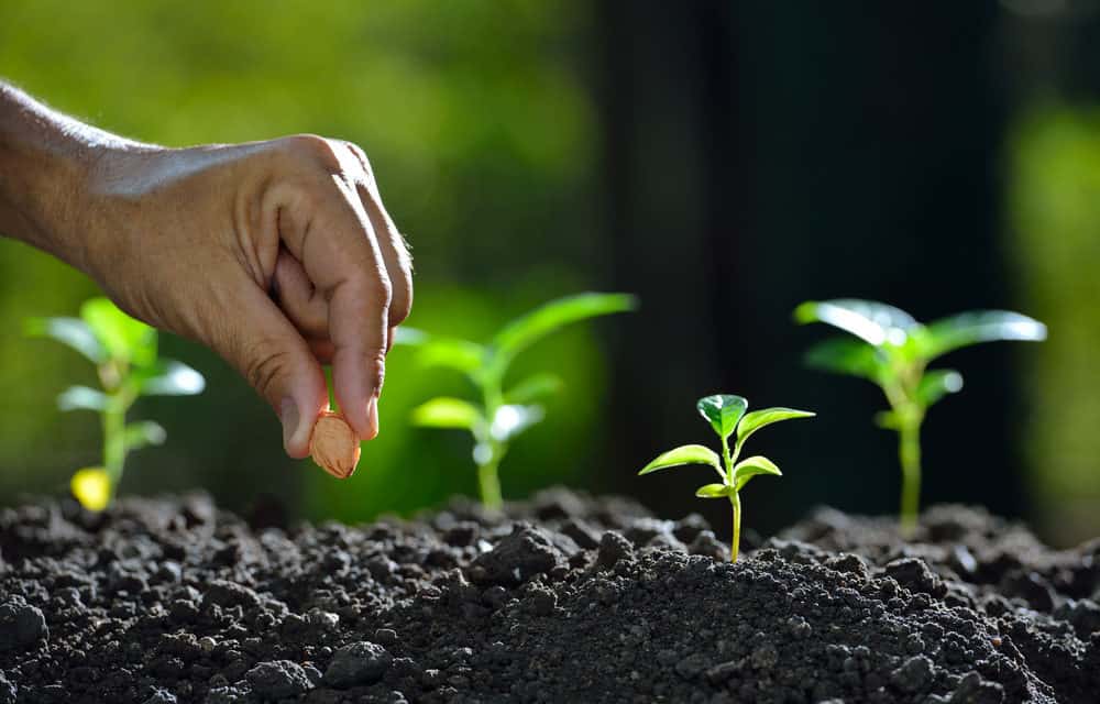 Silvergate-IPO: Kalifornische Bank will Geschäft mit Kunden aus dem Krypto-Space ausbauen