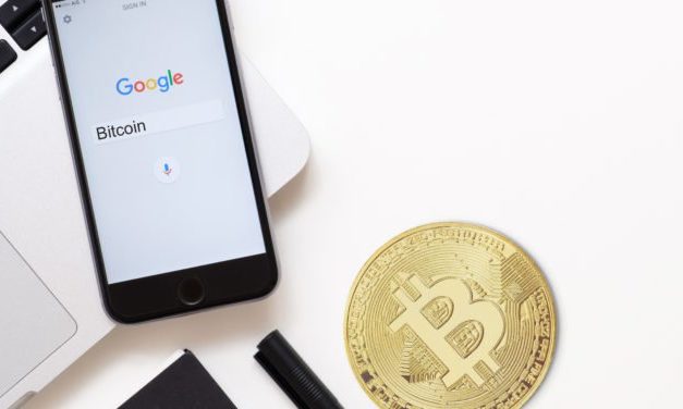 Bitcoin: Google-Suchvolumen steigt trotz Bärenmarkt