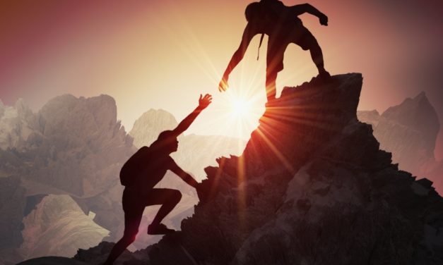 Grover und OST kooperieren für Blockchain-basiertes Loyalitätsprogramm