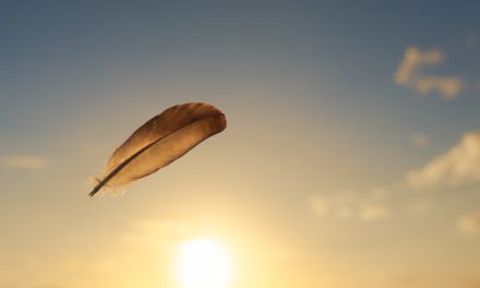 Bitcoin lässt Federn, Factom schießt in die Höhe