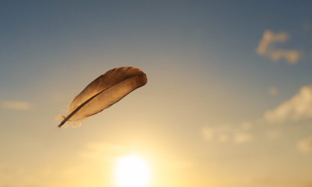 Bitcoin lässt Federn, Factom schießt in die Höhe