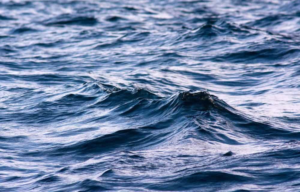 Trotz Bärenmarkt: Waves verzeichnet Monatsplus von 50 Prozent