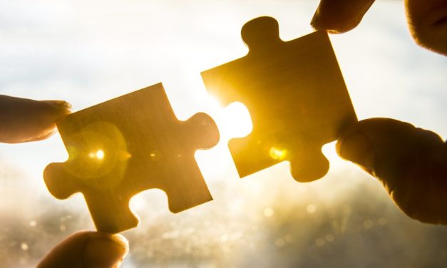 Security Token Offering: Neufund und Ledger planen STO-Framework