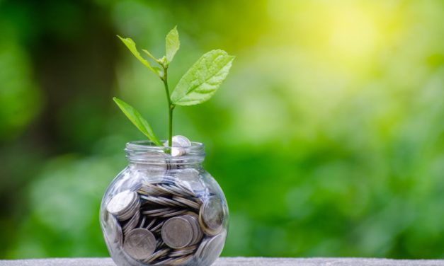 YGC: 200-Millionen-US-Dollar für aktive Blockchain-Projekte