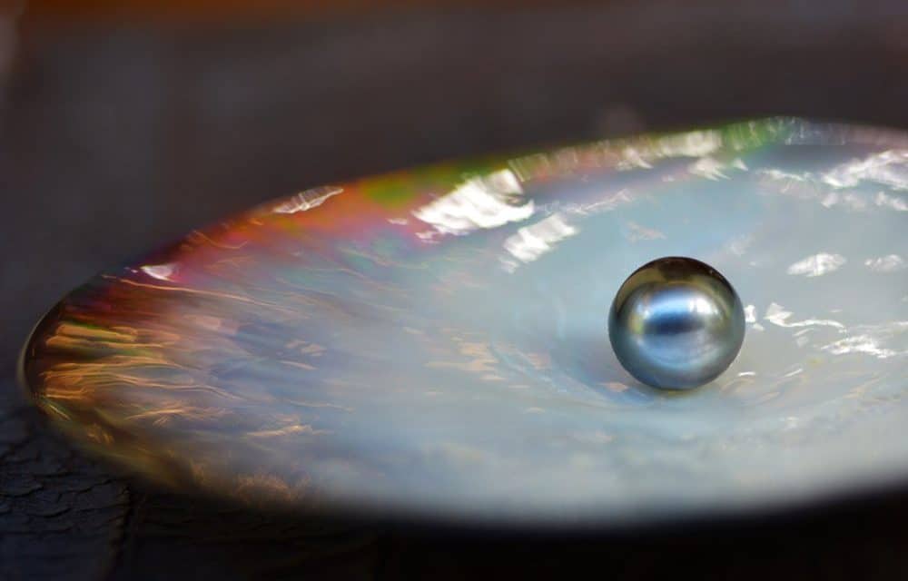 Hochbegehrt, rar gesät: So findet man die besten Blockchain-Entwickler