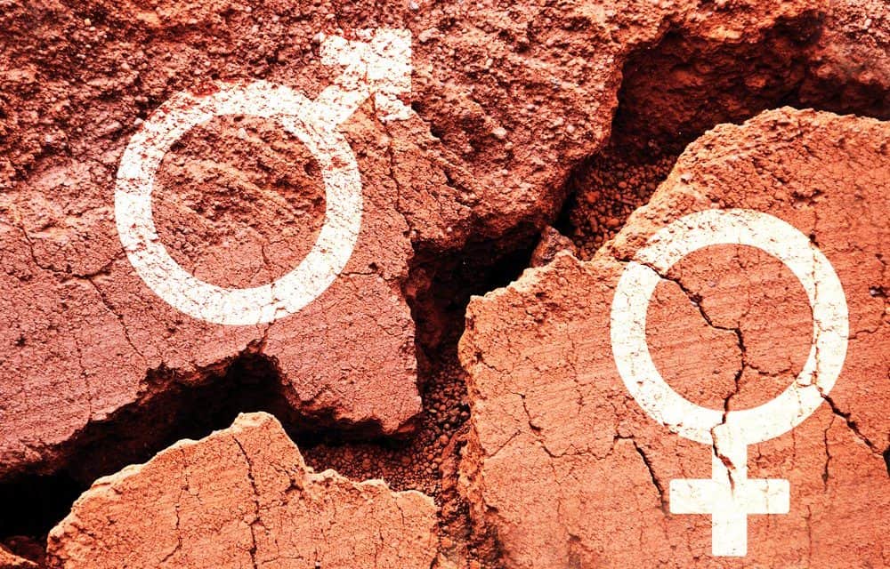 Blockchain-Unternehmen – Gendergap noch größer als in anderen Techunternehmen