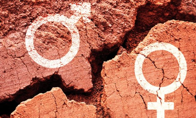 Blockchain-Unternehmen – Gendergap noch größer als in anderen Techunternehmen