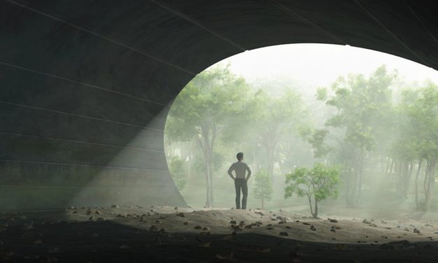 Bitcoin-Kurs und Altcoins steigen – Grünes Licht am Ende des Tunnels?