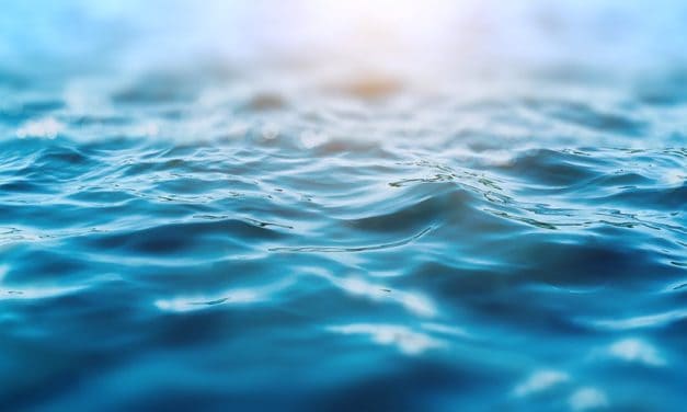 Waves beendet Fundingrunde, Bitcoin Cash legt weiter zu