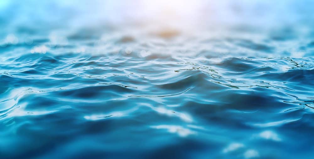 Waves beendet Fundingrunde, Bitcoin Cash legt weiter zu