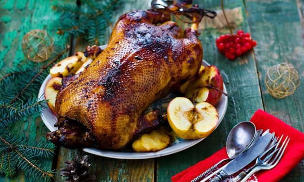 Krypto-Weihnachten 2017 vs. 2018: Warum Bitcoin und Gänsebraten dieses Jahr nicht zusammenfinden
