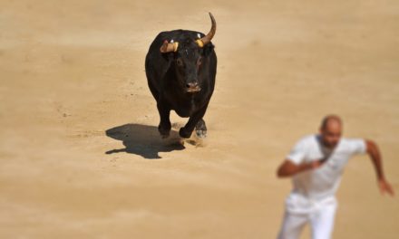 Galaxy Digital Trading: Bitcoin-Rallye steht bevor