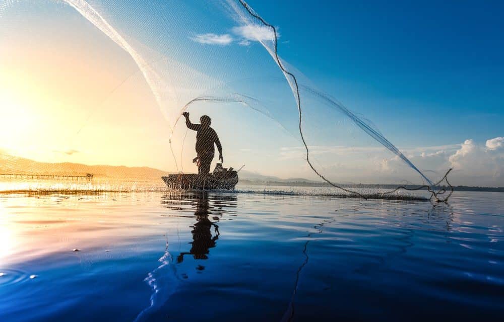 Gone Phishin’: Bitcoin-Wallets um 750.000 US-Dollar erleichtert – Angriff dauert an