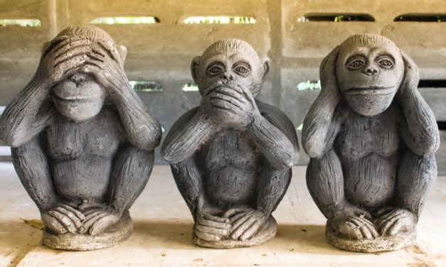 Vom Bitcoin-Jesus zum Zensur-Gott – Craig Wright und die Twitter-Filterblase