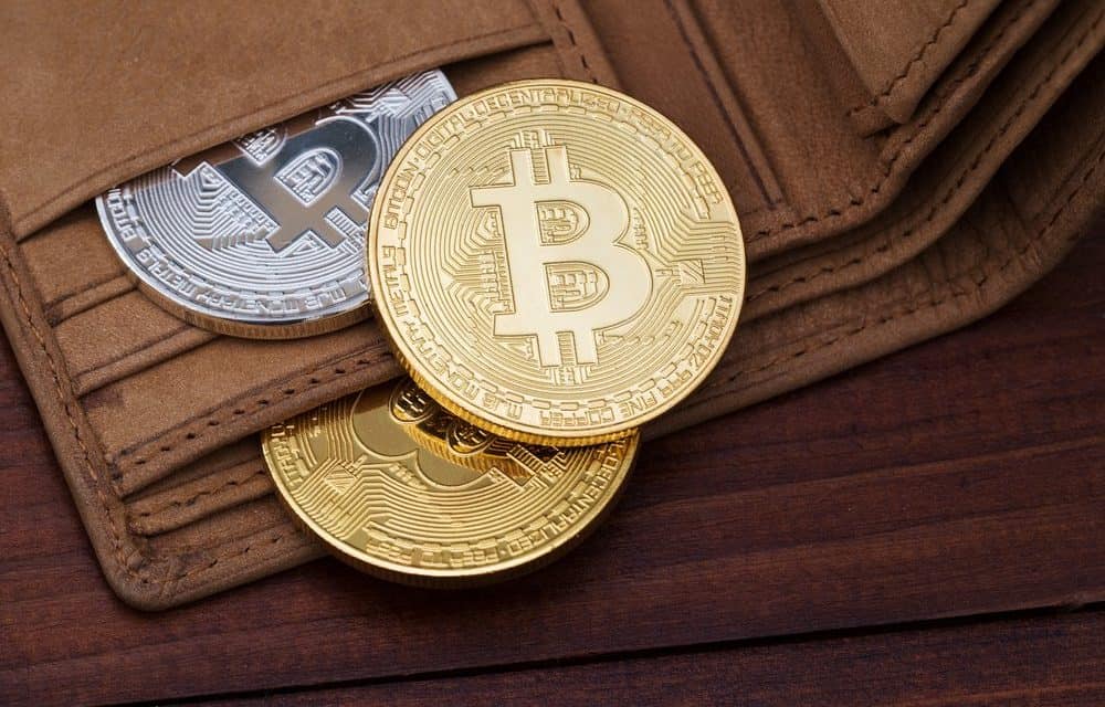Ledger Nano X: Ledgers Hardware Wallet erhält Update