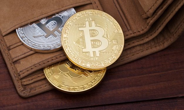 Ledger Nano X: Ledgers Hardware Wallet erhält Update