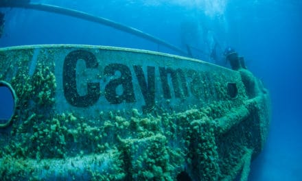 Bitcoin-Fonds & Co.: Warum die Karibik wichtiger als die Wall Street sein kann