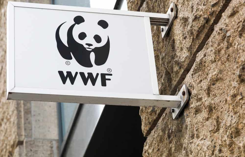 OpenSC: Mehr Transparenz im Konsum? WWF und BCG machens möglich