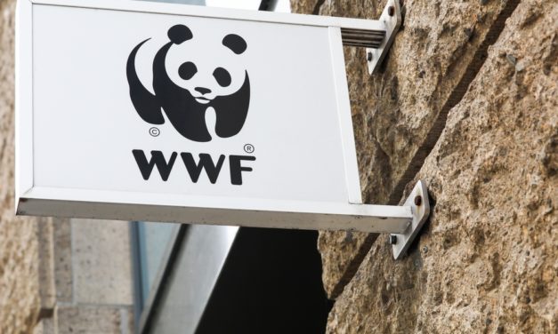 OpenSC: Mehr Transparenz im Konsum? WWF und BCG machens möglich