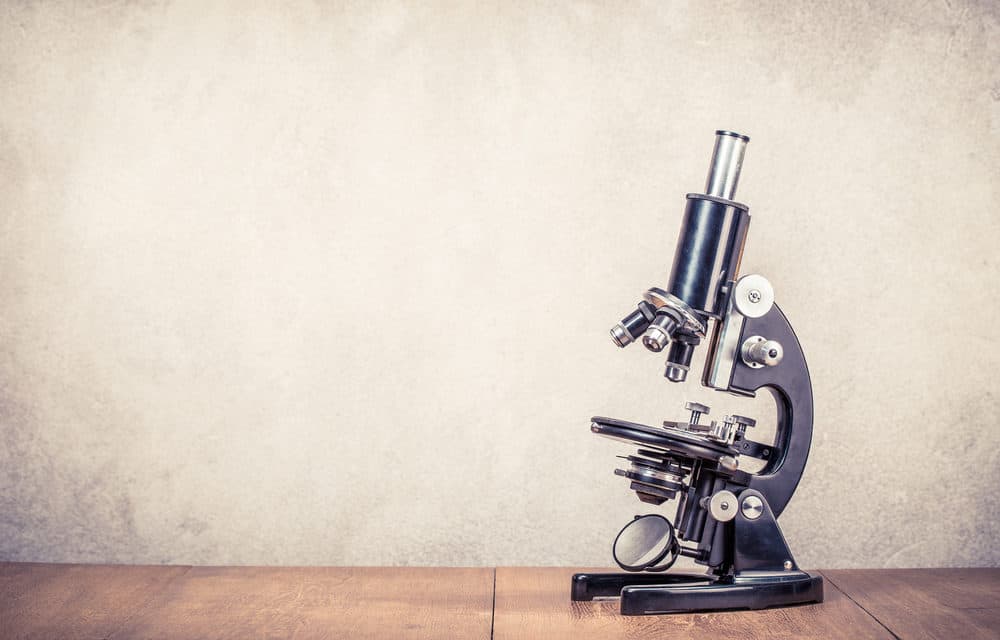 CryptoCompare-Analyse: Binance auf Platz 1 der Bitcoin-Börsen, DEX weiterhin Randerscheinungen