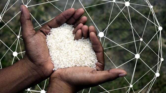 HARA: Künstliche Intelligenz und Blockchain gegen den Welthunger