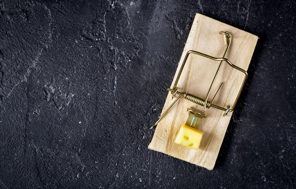 H-Ant: Ein Virus attackiert Mining Pools