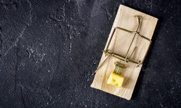 H-Ant: Ein Virus attackiert Mining Pools