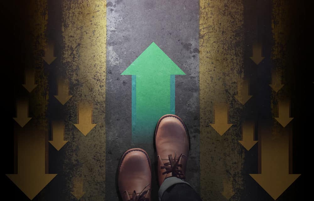 Das Musterportfolio Konservativ KW4: Trotz Verlusten bei Ethereum und Ripple stabil