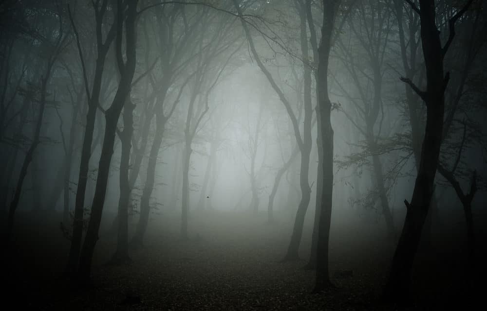 Neues von QuadrigaCX: Verlust von Private Keys nur vorgetäuscht?