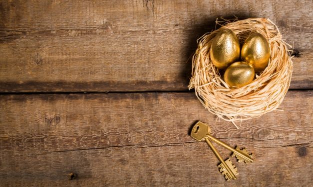 Operation „Goldene Gans“: Bitfury betreibt Bitcoin Mining in Paraguay
