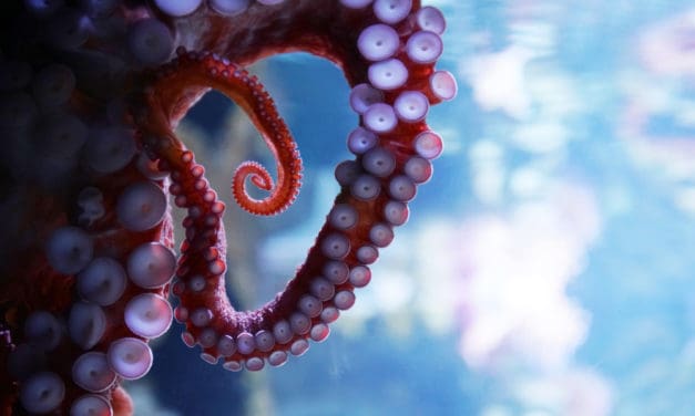 Kraken greift sich Bitcoin-Future-Plattform Crypto Facilities für Rekordsumme