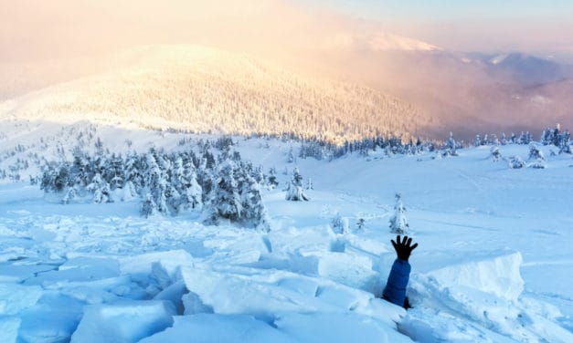 QuadrigaCX: Updates zum Tod des Betreibers der Bitcoin-Börse & Verdacht auf Schneeballsystem