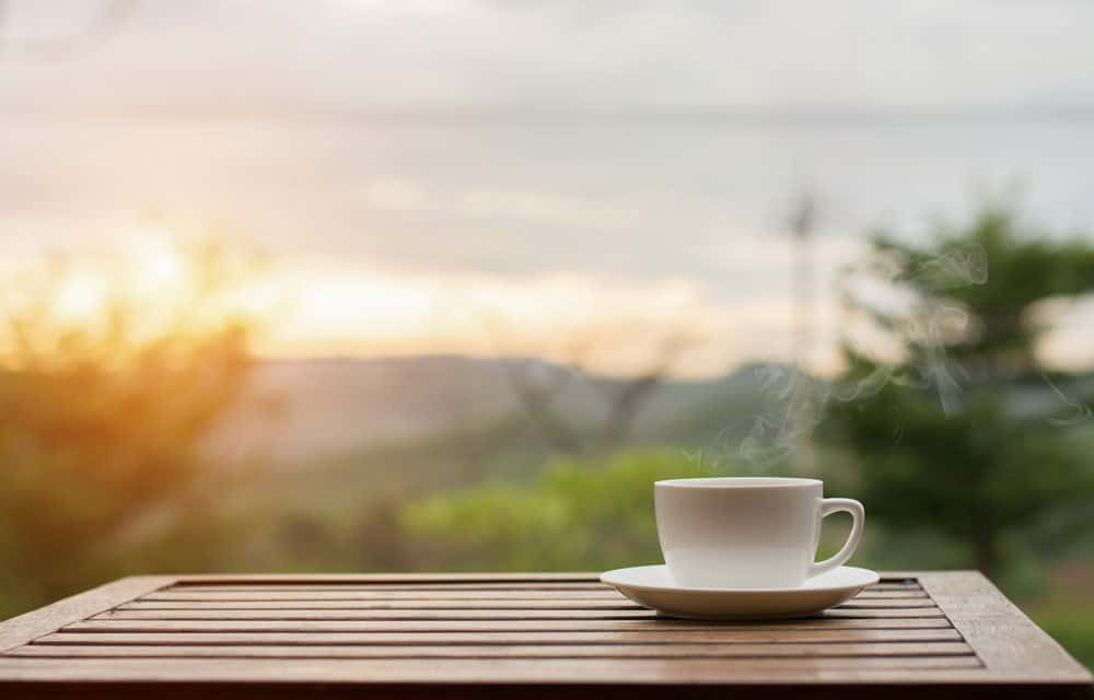 BTC-ECHO-Newsflash KW6: Die Top Bitcoin- und Blockchain-News der Woche