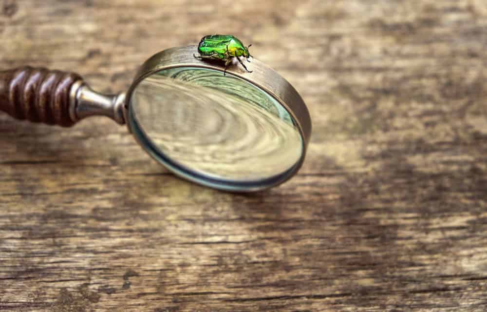 Coinbase: Bitcoin-Börse belohnt Entdeckung von Bug mit 30.000 US-Dollar