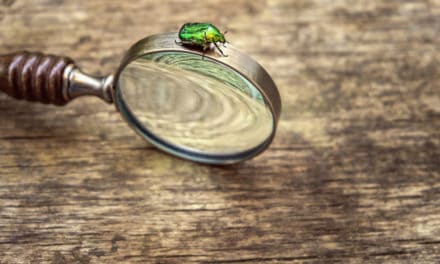 Coinbase: Bitcoin-Börse belohnt Entdeckung von Bug mit 30.000 US-Dollar