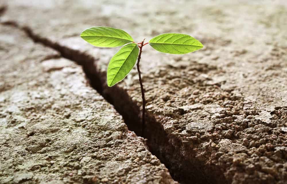 Endlich: Bitcoin-Kurs testet die 4.000 US-Dollar