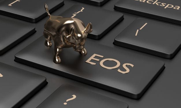Der EOS-Kurs startet durch – Was steckt hinter dem Micro-Bull-Run?